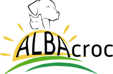 logo-albacroc-removebg-preview-3